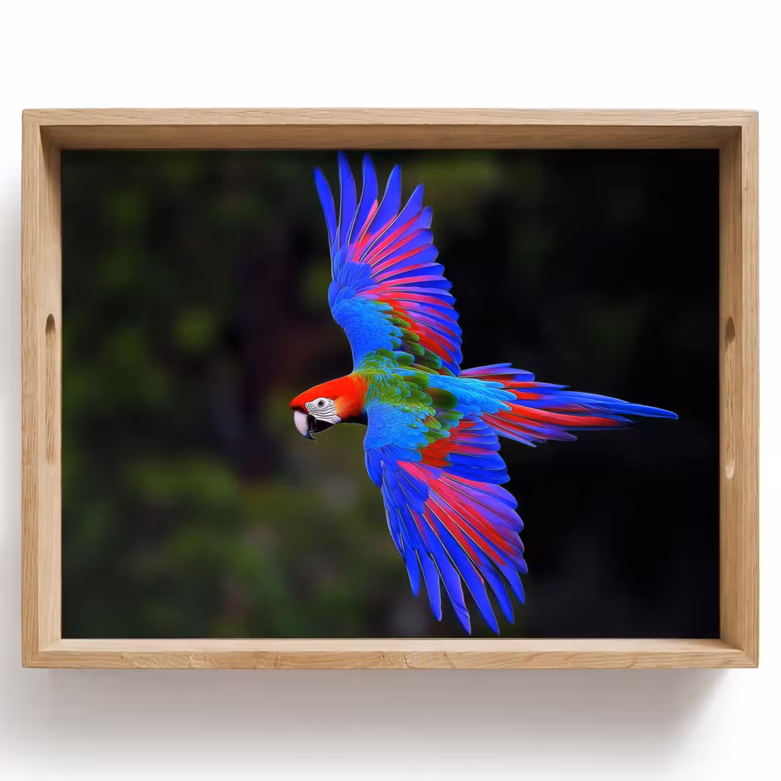 Bandeja - Colores vivos - Loro - Bosque - Alas — 1
