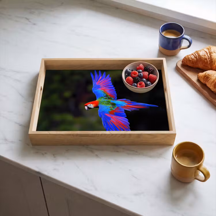 Bandeja - Colores vivos - Loro - Bosque - Alas — 3