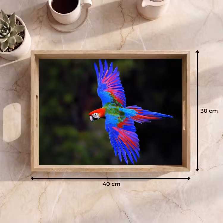 Bandeja - Colores vivos - Loro - Bosque - Alas — 7