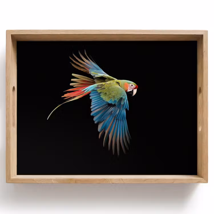 Bandeja - Loro - Colorido - Alas - Ornamentado — 1