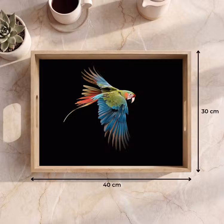 Bandeja - Loro - Colorido - Alas - Ornamentado — 7