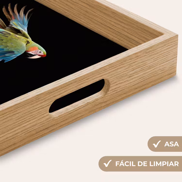 Bandeja - Loro - Colorido - Alas - Ornamentado — 8