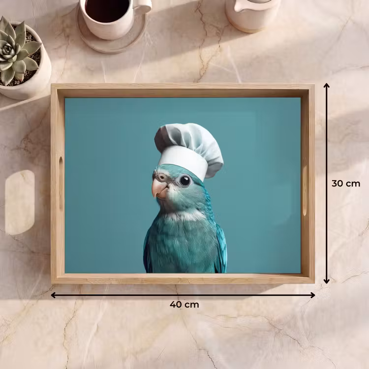 Bandeja - Periquito - Pájaro - Gorro de cocinero - Lindo — 7