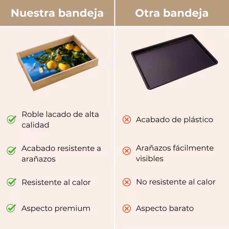 Bandeja - Limones - Hojas - Cielo azul — 9