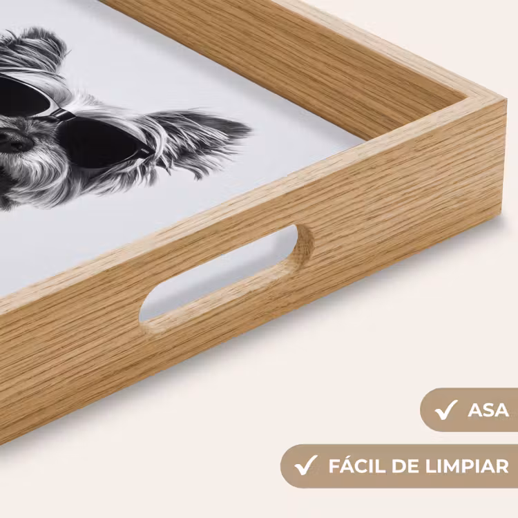Bandeja - Perro - Copa de vino - Gafas de sol - Entusiasta — 8