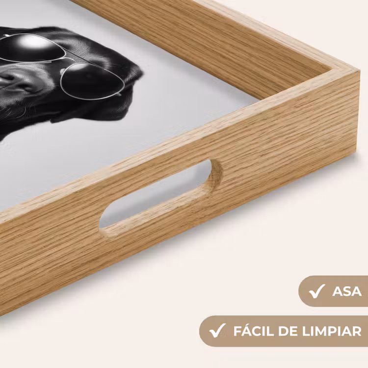 Bandeja - Perro - Negro - Copa de vino - Gafas de sol — 8