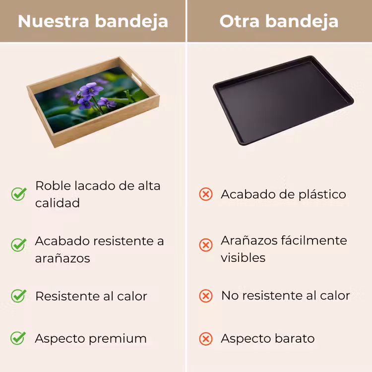 Bandeja - Violetas - Violeta - Flor - Hoja — 9