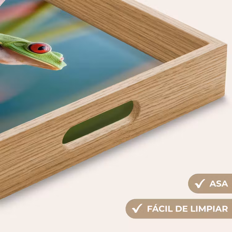 Bandeja - Rana de colores - Tallo verde - Alerta — 8