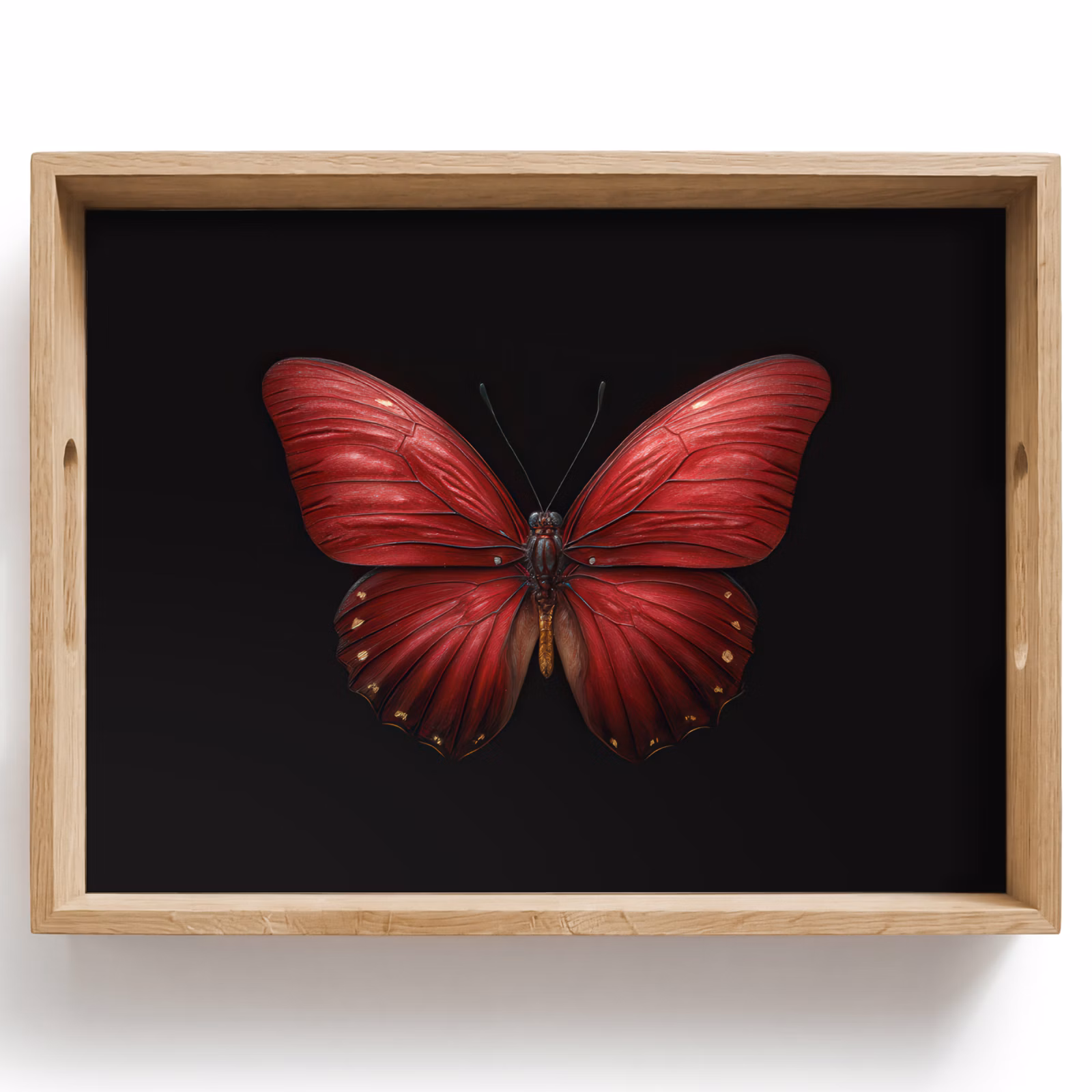 Bandeja - Mariposa - Rojo - Minimalista — 1