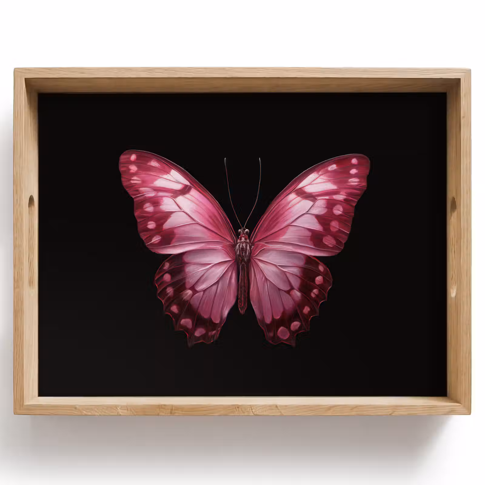 Bandeja - Mariposa - Fucsia - Gráfico — 1