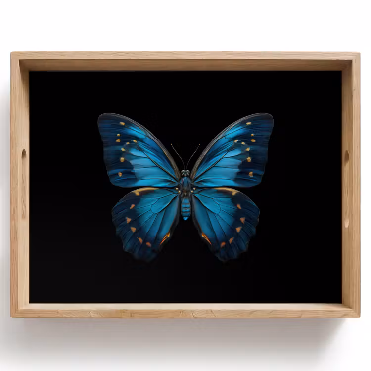 Bandeja - Mariposa - Azul - Contraste — 1