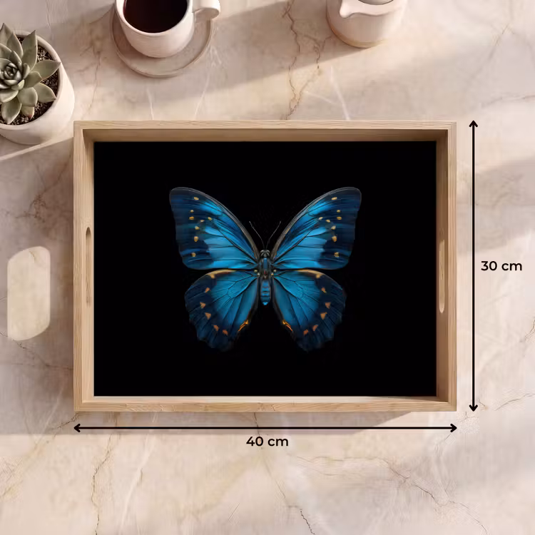 Bandeja - Mariposa - Azul - Contraste — 7