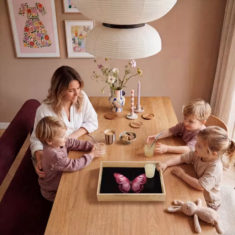 Bandeja - Mariposa - Fucsia - Gráfico — 5