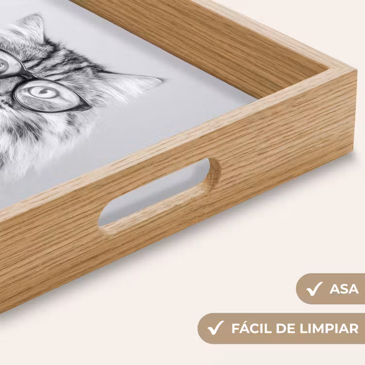Bandeja - Gato - Gafas - Taza - Fluffy — 8