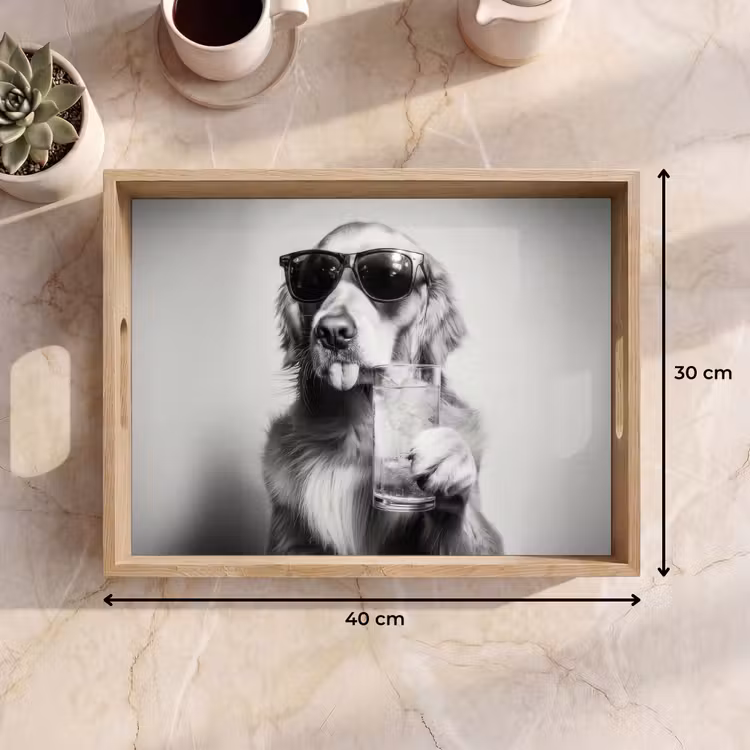 Bandeja - Golden retriever - Perro - Gafas de sol - Gkas — 7