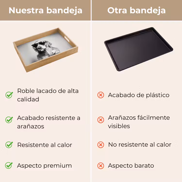 Bandeja - Golden retriever - Perro - Gafas de sol - Gkas — 9