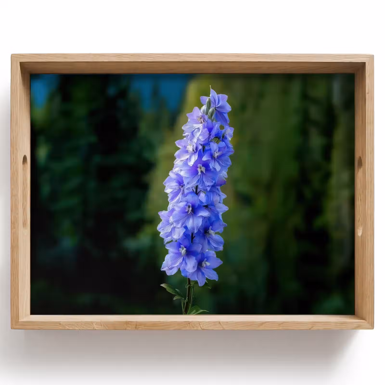 Bandeja - Flores - Azul - Pino — 1