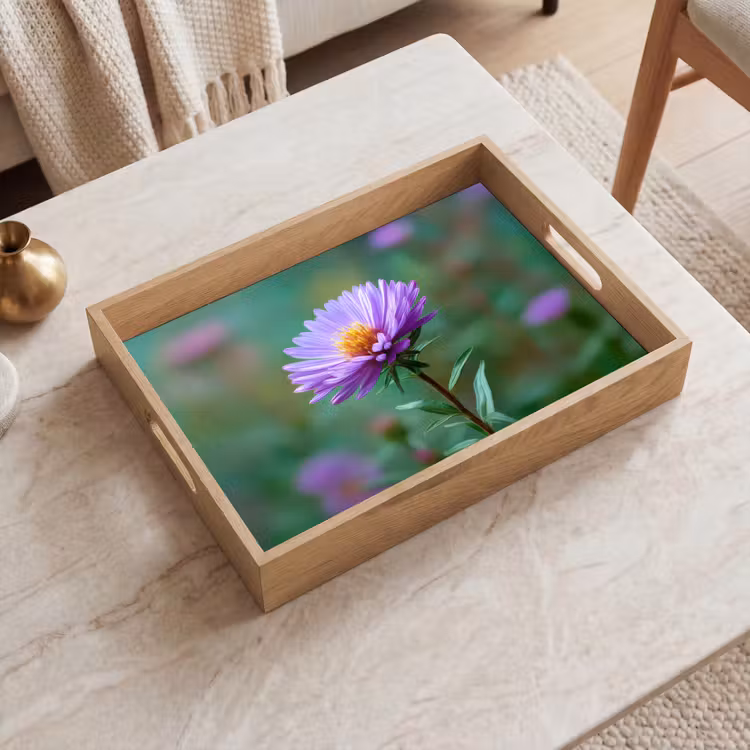Bandeja - Aster - Violeta - Flor - Pétalos — 2