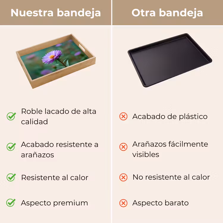 Bandeja - Aster - Violeta - Flor - Pétalos — 9