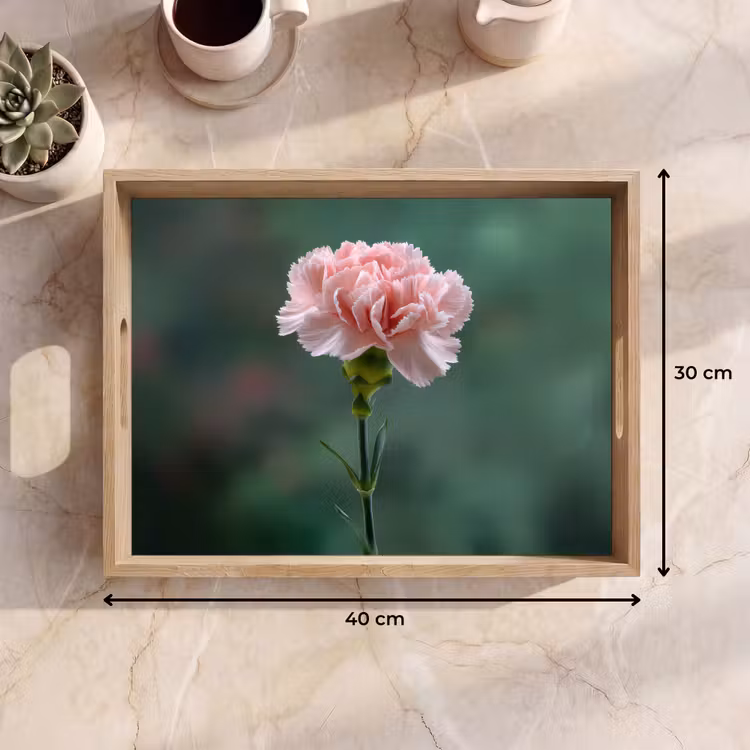 Bandeja - Clavel - Rosa - Pétalos — 7
