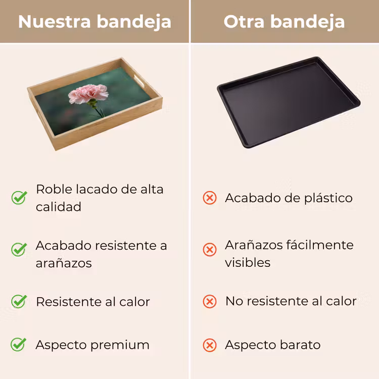 Bandeja - Clavel - Rosa - Pétalos — 9