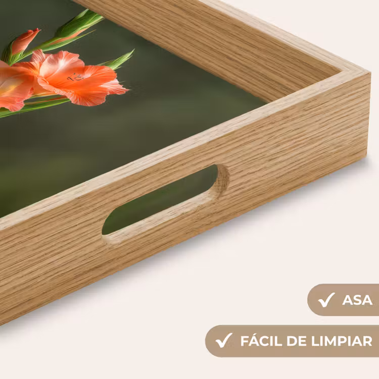 Bandeja - Flor - Gladiolos - Rosa salmón — 8