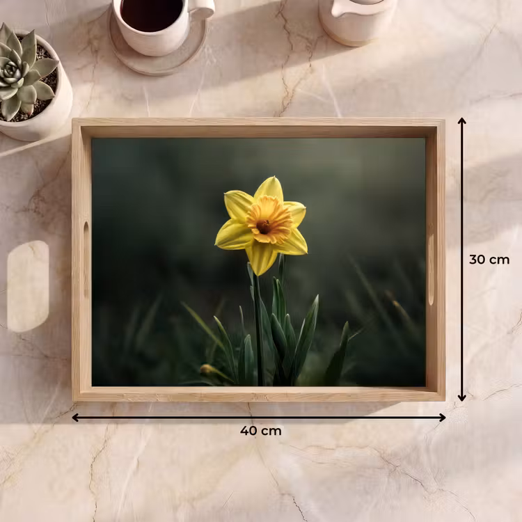 Bandeja - Flor - Narciso - Hierba - Amarillo — 7