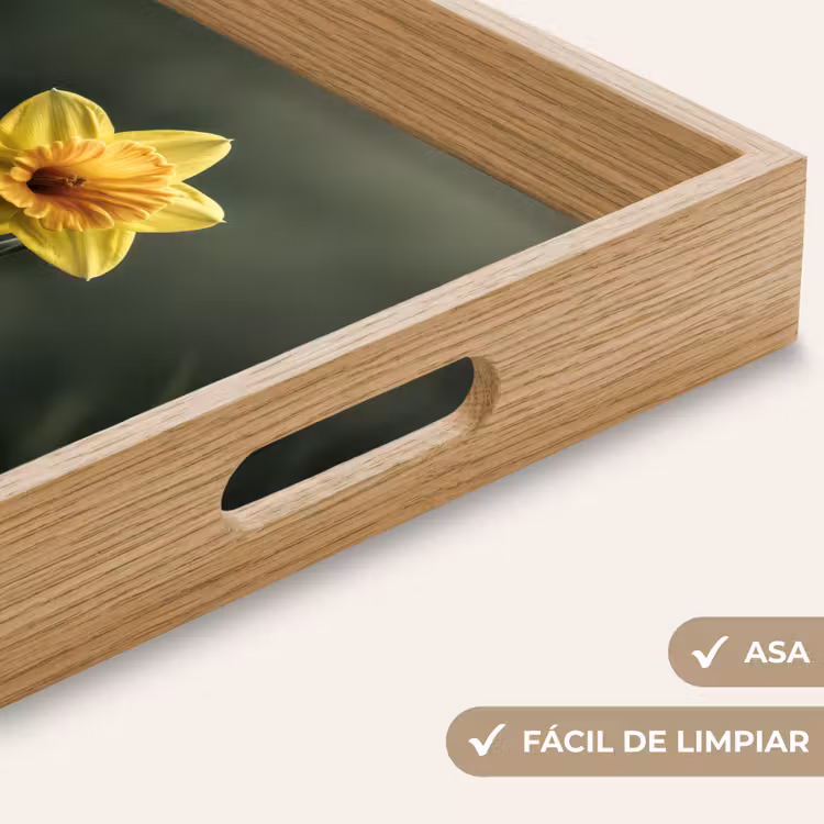 Bandeja - Flor - Narciso - Hierba - Amarillo — 8
