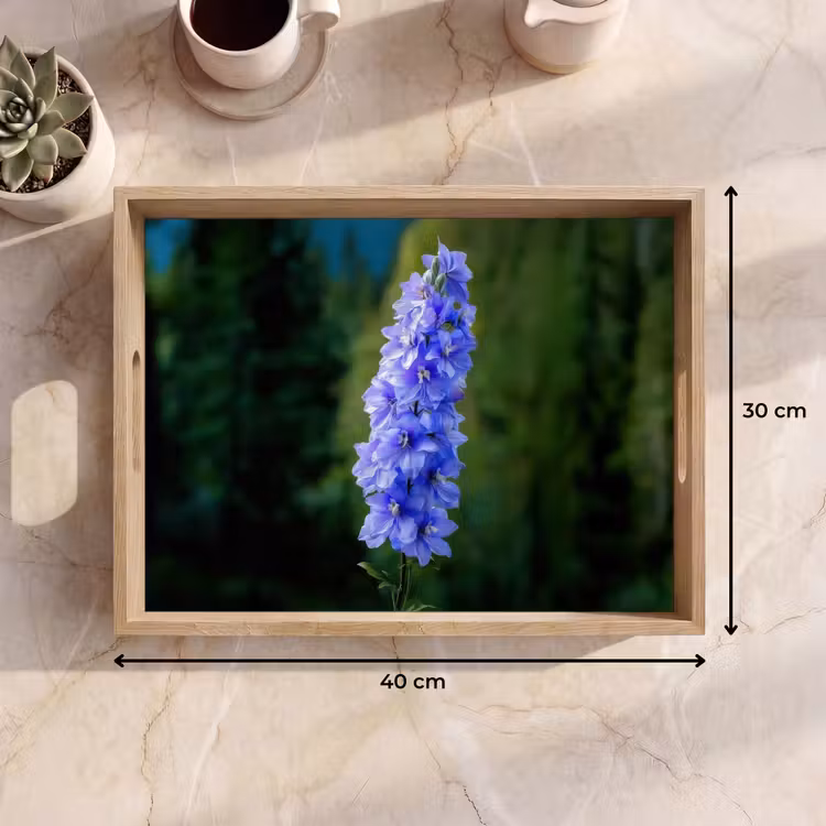 Bandeja - Flores - Azul - Pino — 7