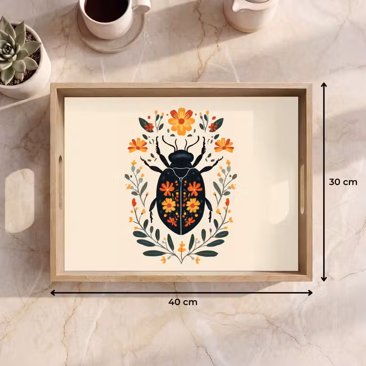 Bandeja - Flores - Naranja - Plantas - Ornamentales — 7