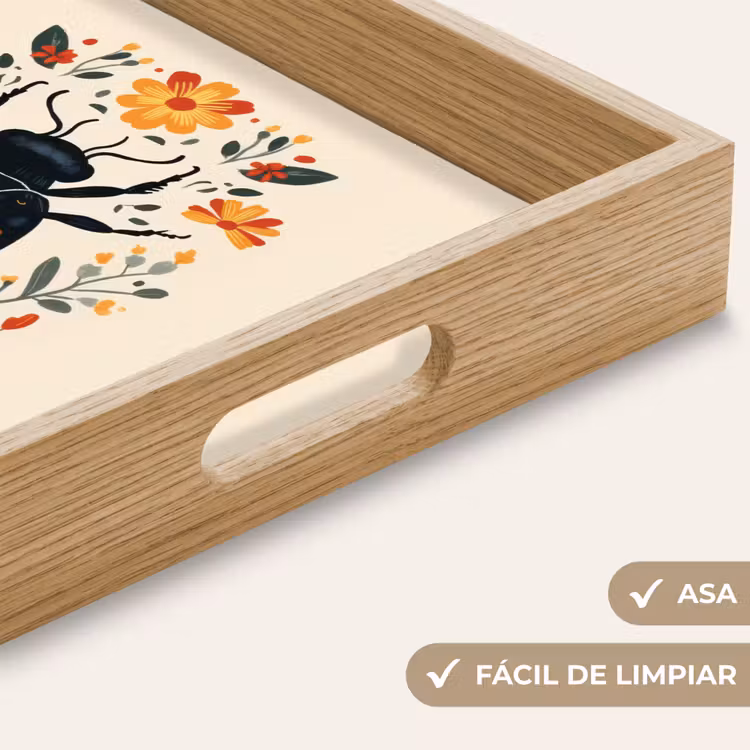 Bandeja - Flores - Naranja - Plantas - Ornamentales — 8
