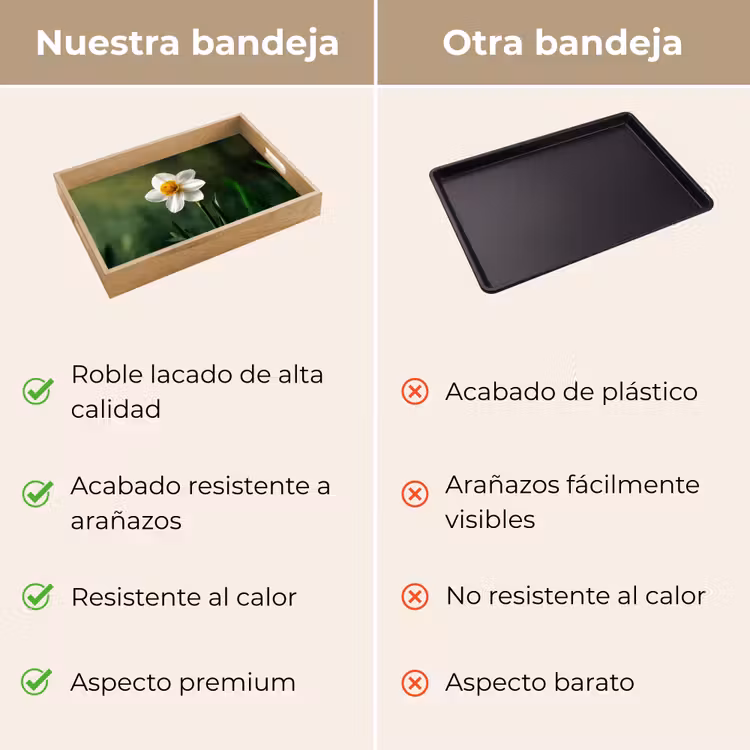 Bandeja - Narciso - Flor - Blanco - Hojas de hierba — 9