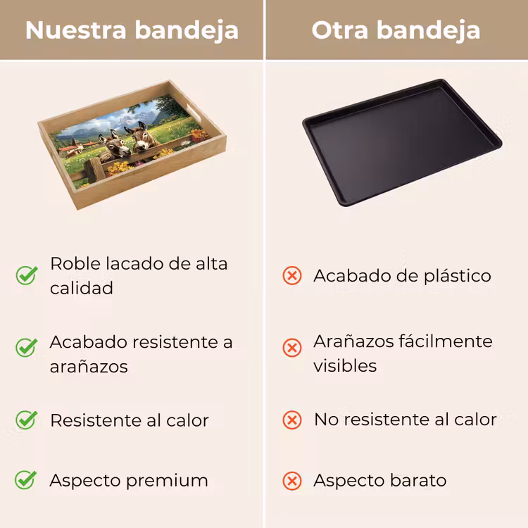 Bandeja - Burros - Flores - Veranos — 9