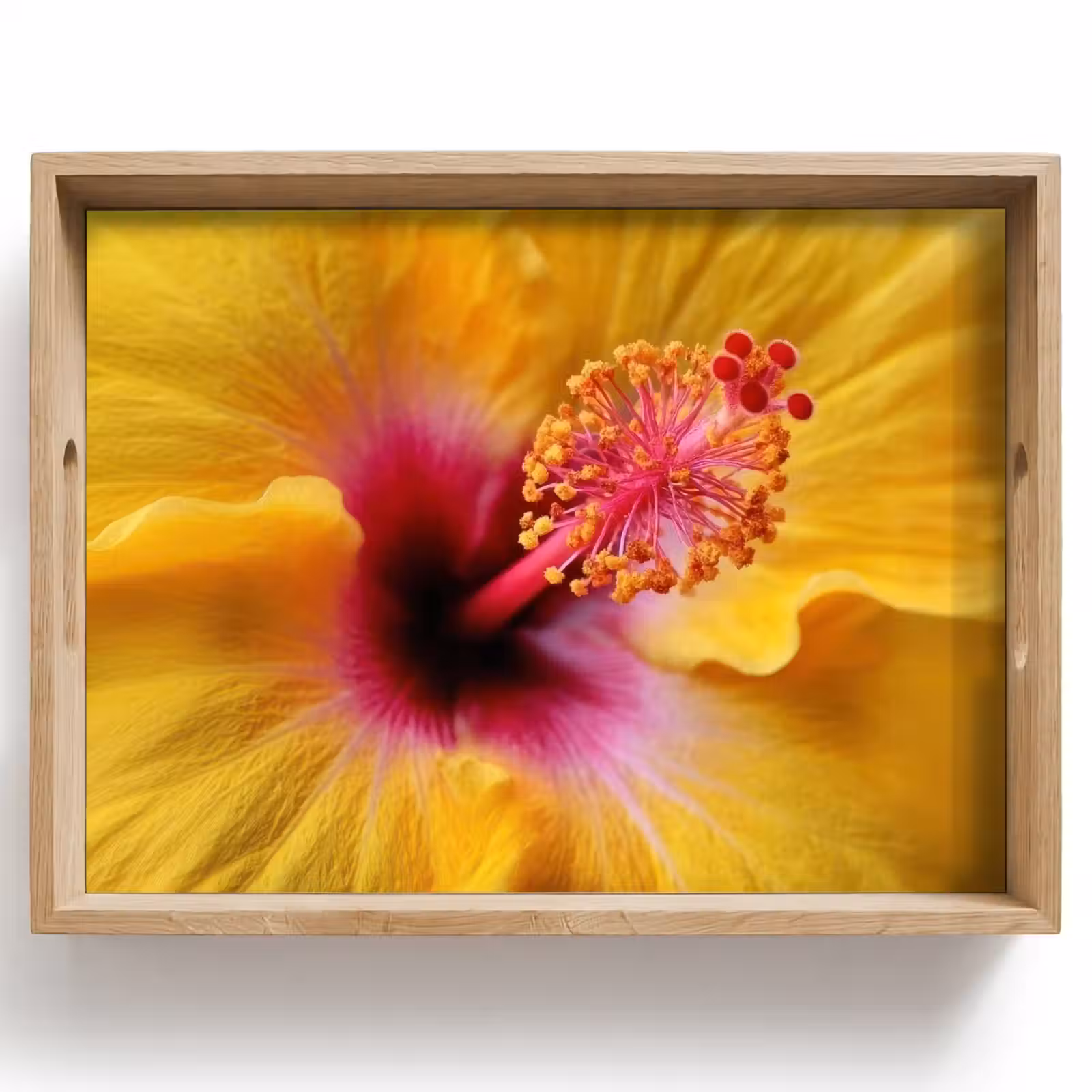 Bandeja - Amarillo - Hibisco - Tropical — 1