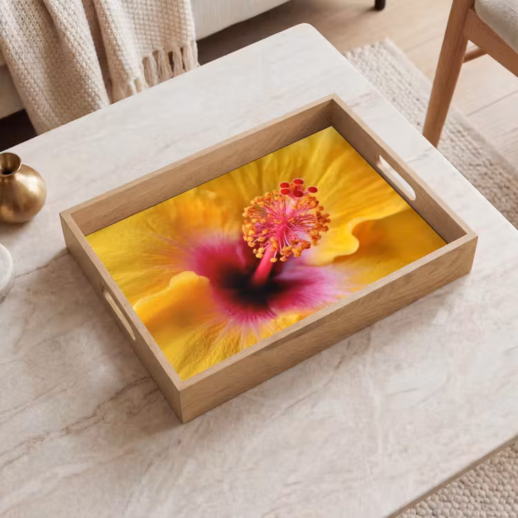 Bandeja - Amarillo - Hibisco - Tropical — 2