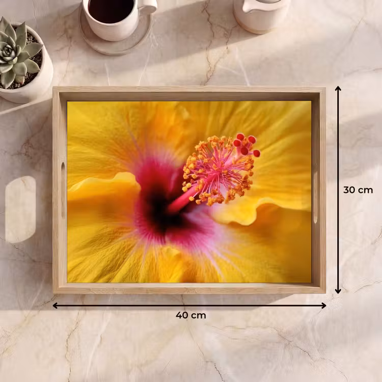 Bandeja - Amarillo - Hibisco - Tropical — 7