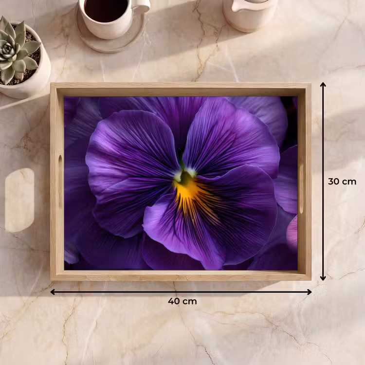 Bandeja - Morado - Violín - Profundidad — 7