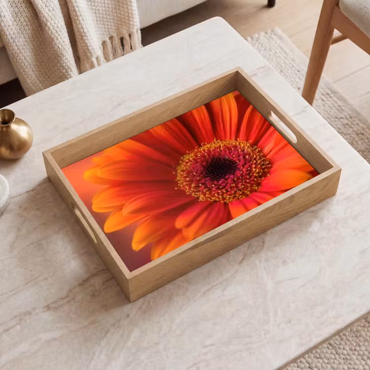 Bandeja - Naranja - Gerbera - Intenso — 2