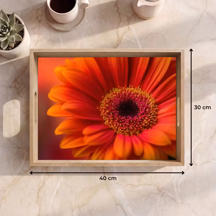 Bandeja - Naranja - Gerbera - Intenso — 7