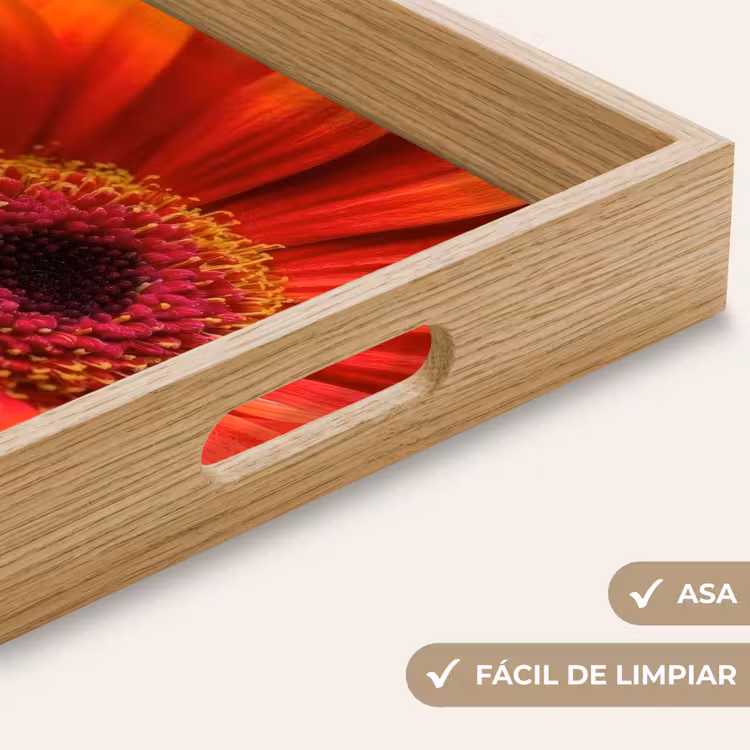 Bandeja - Naranja - Gerbera - Intenso — 8
