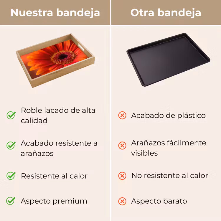 Bandeja - Naranja - Gerbera - Intenso — 9
