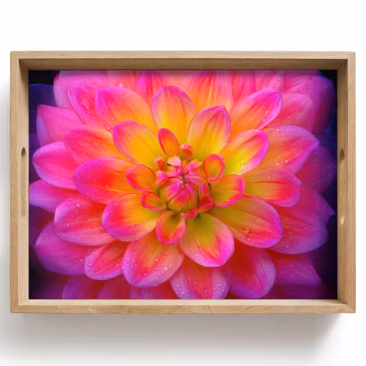 Bandeja - Rosa - Dalia - Colorido — 1