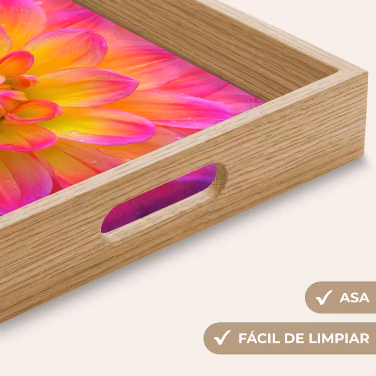 Bandeja - Rosa - Dalia - Colorido — 8