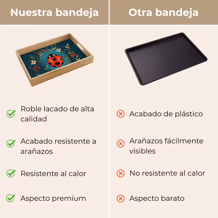 Bandeja - Flores - Mariquita - Corazón - Rojo — 9