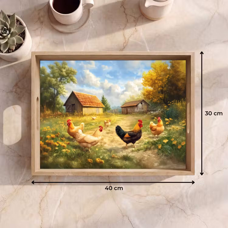 Bandeja - Gallinas - Tranquilidad rural - Naturaleza — 7