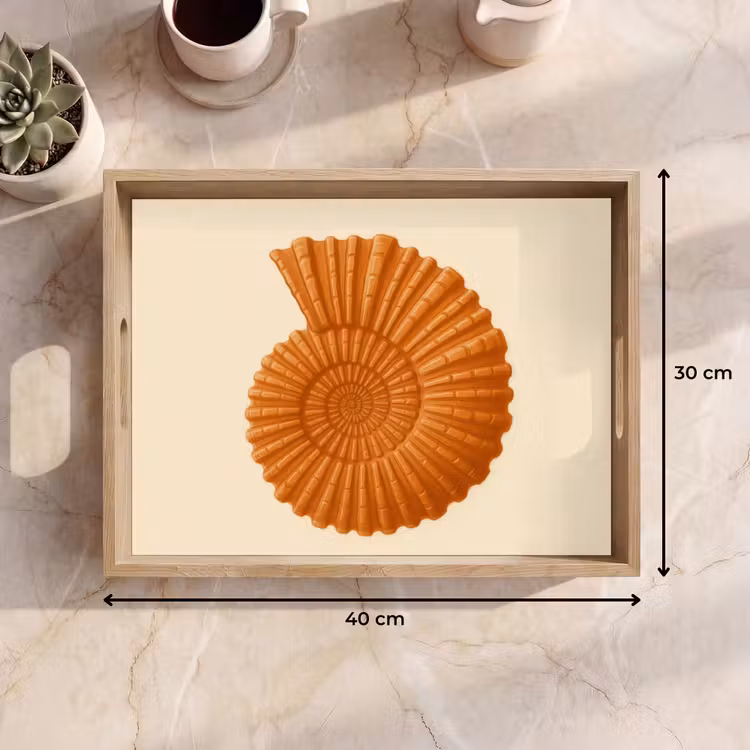 Bandeja - Concha - Naranja - Acanalada — 7