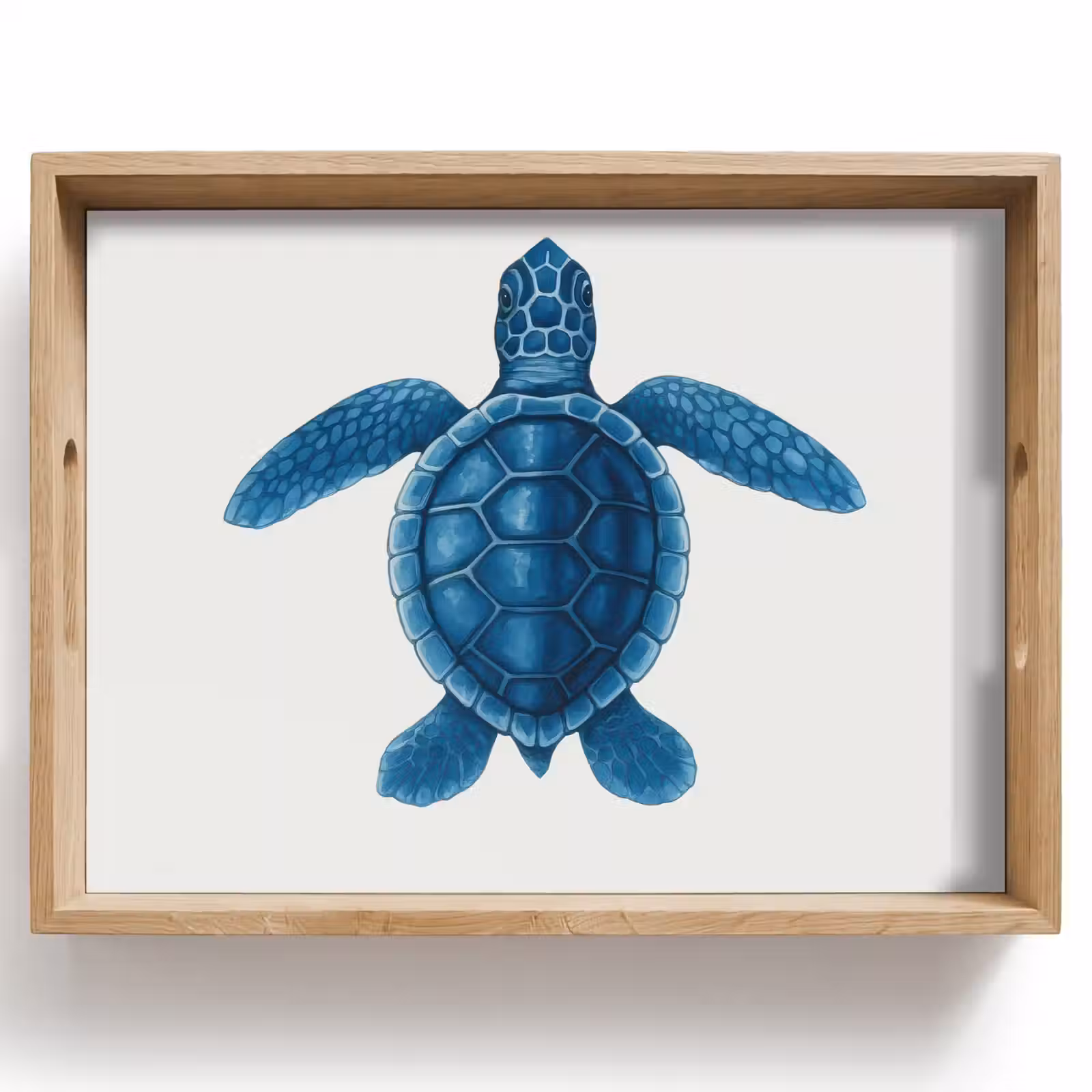 Bandeja - Tortuga - Azul - Escudo — 1