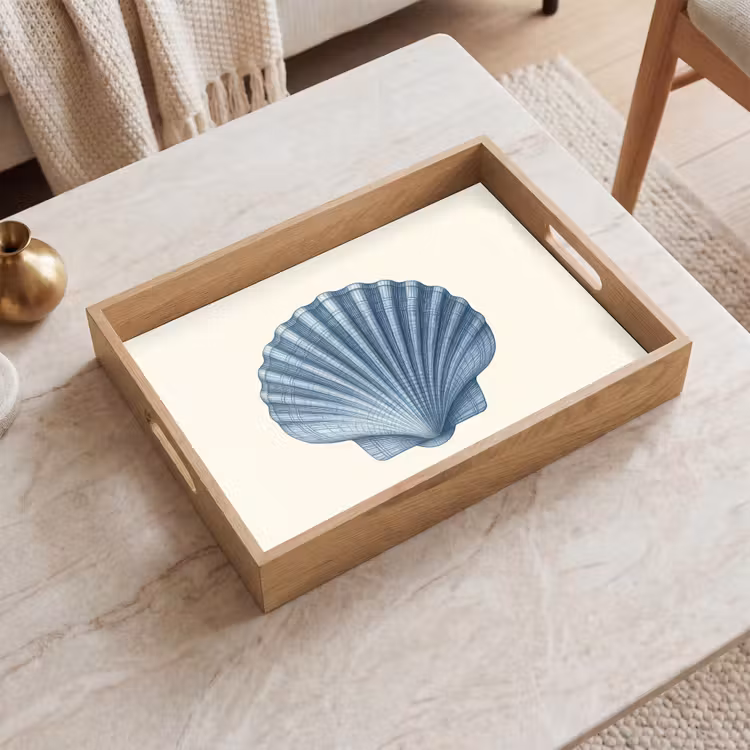 Bandeja - Ribbing - Azul - Shell — 2