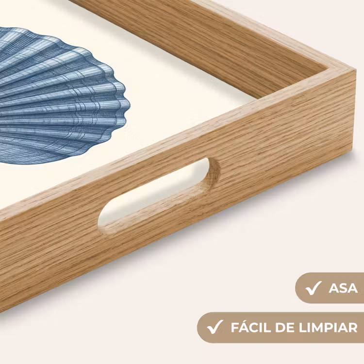 Bandeja - Ribbing - Azul - Shell — 8