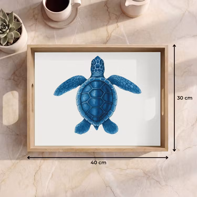 Bandeja - Tortuga - Azul - Escudo — 7